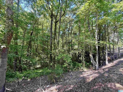 /international/us/settlement-road-lot-0-sylacauga-al-110107999894/