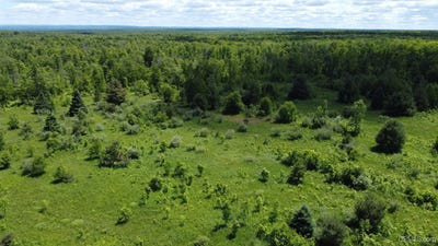 /international/us/23171-seppanen-road-lot-tbd-off-end-of-seppanen-road-nisula-mi-110119288083/
