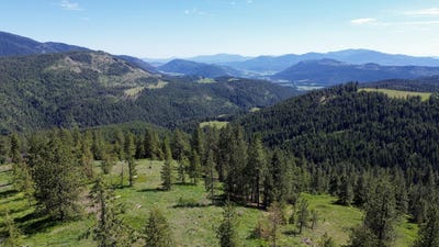/international/us/lot-1-2-3-randall-rd-colville-wa-110105732162/
