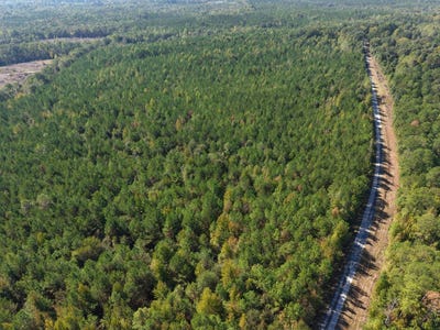 /international/us/county-road-38-safford-al-110120585693/