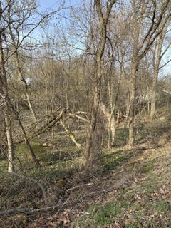 /international/us/lot-32-w-high-street-greenville-mi-110098982582/?lang=en