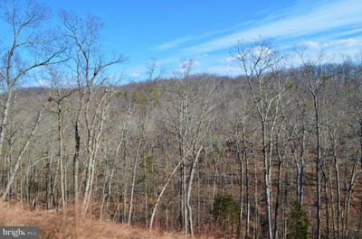 /international/us/comforter-lane-middletown-va-110023921645/