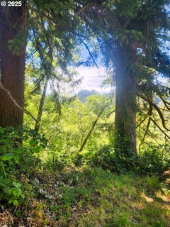 /international/us/tiernan-rd-mapleton-or-110100994382/