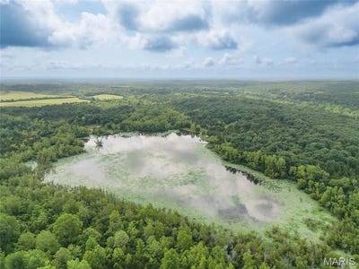 /international/us/140-acres-valet-road-richwoods-mo-110100583330/