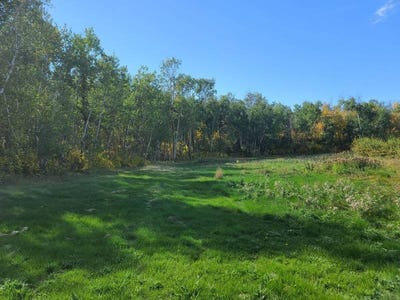 /international/us/lot-17-birchwood-heights-2nd-addition-bottineau-nd-110099383402/?lang=zh-tw