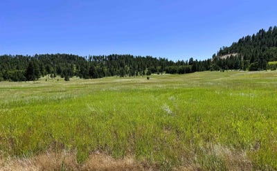 /international/us/e1-soaring-eagle-road-hulett-wy-110098981800/