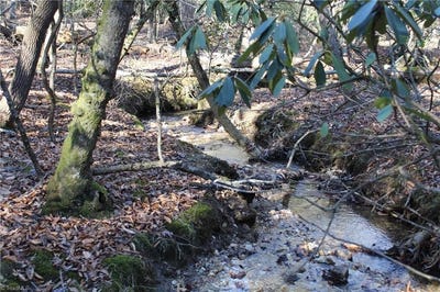 /international/us/468-sylvan-road-thurmond-nc-110101331216/