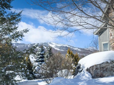 /international/us/15b-boulder-ridge-drive-dover-vt-110104502769/