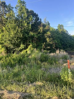 /international/us/robon-hood-sherwood-forest-lot-6-monticello-ar-110108423364/