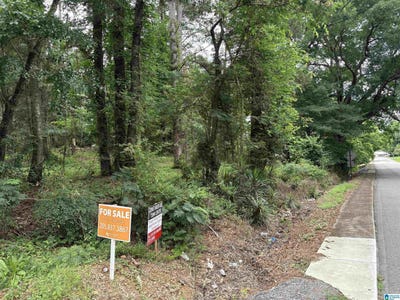 /international/us/7th-avenue-lot-1-ashville-al-110108890626/