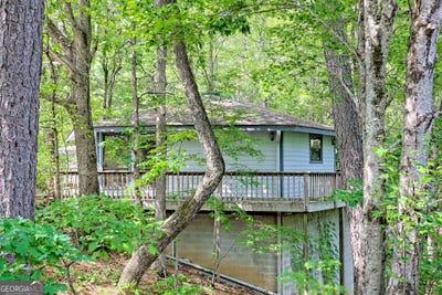/international/us/35-brasstown-dillard-ga-110100339690/