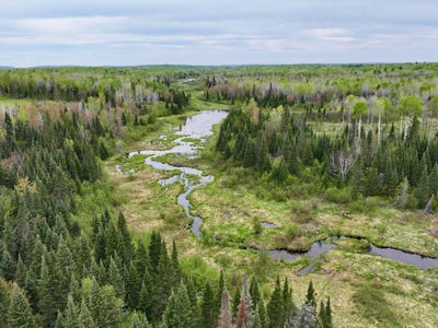 /international/us/17858-amber-lake-rd-bruce-crossing-mi-110100096586/?lang=zh-tw