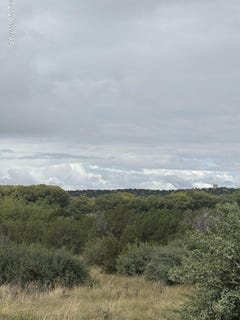 /international/us/7-county-road-5082-concho-az-110120095338/