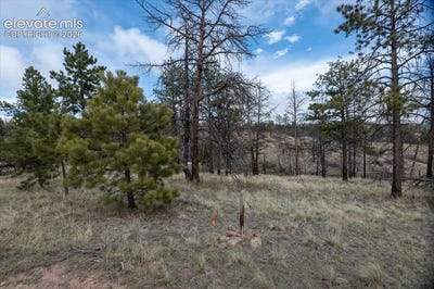 /international/us/144-chapparal-trail-florissant-co-110108507626/