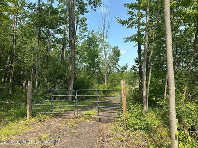 /international/us/dundaff-st-sr-1007-fell-twp-pa-110099959745/
