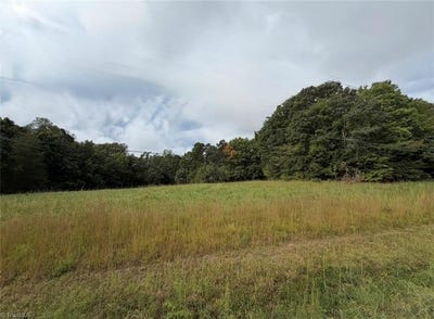 /international/us/6700-lot-1-5-acres-doral-drive-tobaccoville-nc-110120463295/