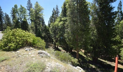 /international/us/42506-opal-lane-shaver-lake-ca-110089217489/
