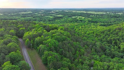 /international/us/jason-lane-greenbrier-ar-110107688417/