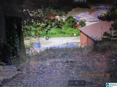 /international/us/1734-bettye-street-lot-1-leeds-al-110108499989/
