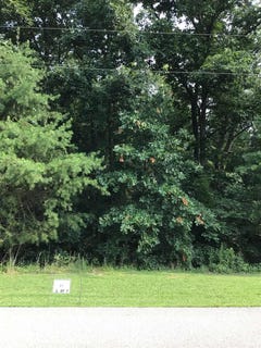 /international/us/hildebrand-drive-lot-21-huntingburg-in-110070724436/