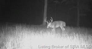 /international/us/in-60-borden-il-110103190225/
