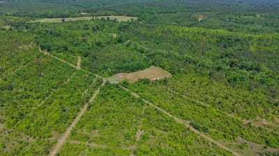 /international/us/county-road-38-autaugaville-al-110107940710/