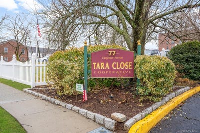 /international/us/77-carpenter-avenue-mount-kisco-ny-110106848548/