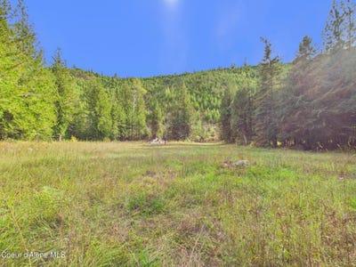 /international/us/3099-bear-creek-rd-kingston-id-110120415895/