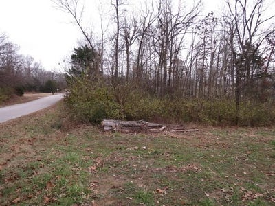/international/us/maple-avenue-bull-shoals-ar-110081203421/