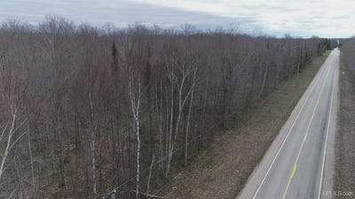 /international/us/parcel-b-county-433-road-gulliver-mi-110108176861/