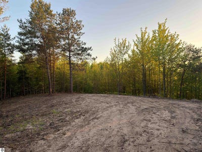 /international/us/3779-scholl-road-mancelona-mi-110108398419/