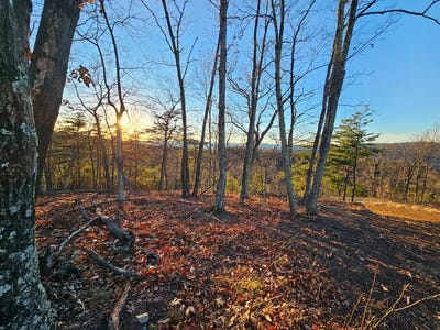 /international/us/290-ashton-woods-moorefield-wv-110107992607/