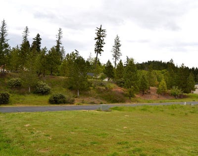 /international/us/233-red-cedar-lane-cave-junction-or-110107435662/