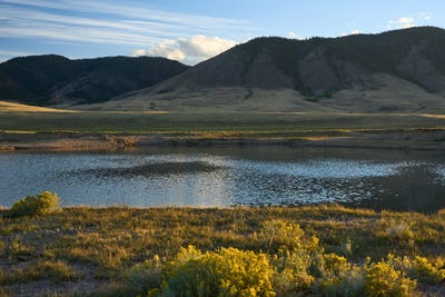 /international/us/sheep-mountain-road-centennial-wy-110102978945/