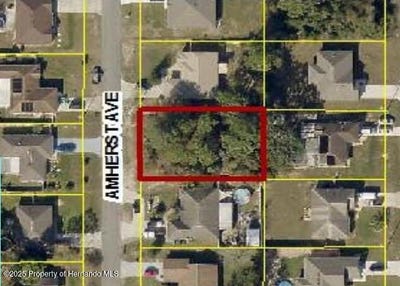 /international/us/amherst-avenue-spring-hill-fl-110100303513/