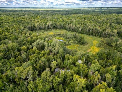 /international/us/48029-110th-place-tamarack-mn-110103338699/
