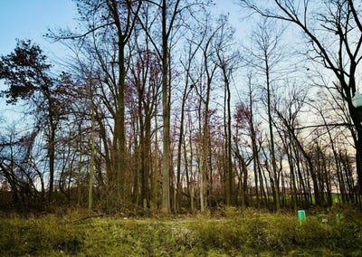 /international/us/2504-eaglebrooke-parkway-celina-oh-110088430643/?lang=zh-tw