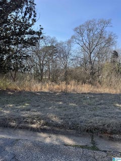 /international/us/625-west-avenue-lot-0-roanoke-al-110108577473/