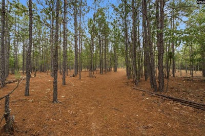 /international/us/3390-hunter-road-kershaw-sc-110109026036/
