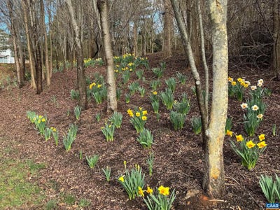 /international/us/edmond-dr-lot-16d-crozet-va-110106127457/