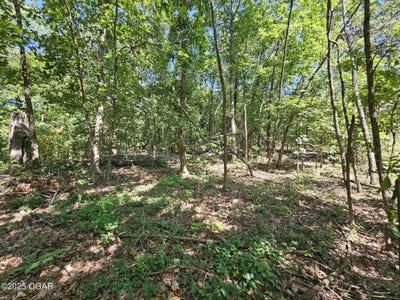 /international/us/65-acres-plainview-road-anderson-mo-110101037394/