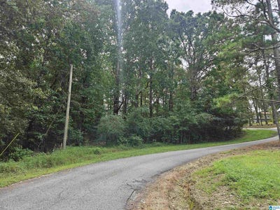 /international/us/shirley-drive-lot-1-moody-al-110101930507/