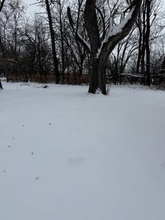 /international/us/19611-crawford-avenue-flossmoor-il-110104196472/