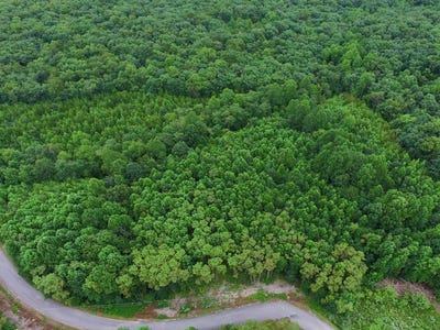 /international/us/292-overlook-dr-lot-20-spencer-tn-110109417875/