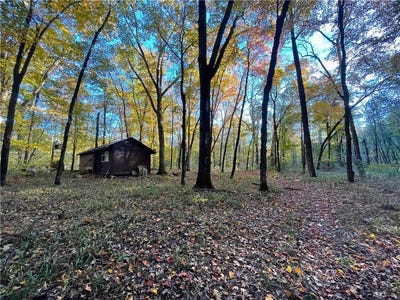 /international/us/65-acres-cr-5099-pettigrew-ar-110105851561/