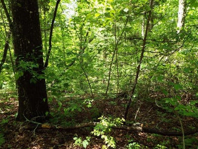 /international/us/mockingbird-lane-sylva-nc-110099556216/