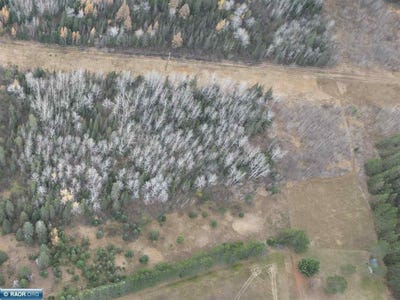 /international/us/s-moon-lake-drive-eveleth-mn-110100582001/?lang=zh-tw