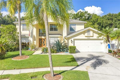 /international/us/10210-vista-pointe-drive-tampa-fl-110120020690/