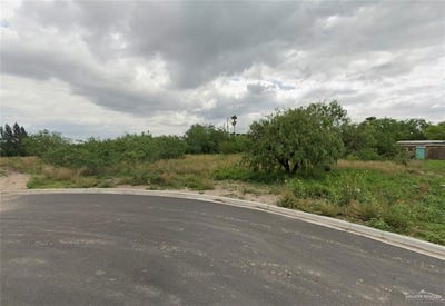 /international/us/1218-veronica-street-progreso-tx-110120508526/