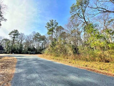 /international/us/sandpiper-lane-lot-23-atlantic-va-110082380087/